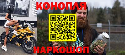 крисы Канаш