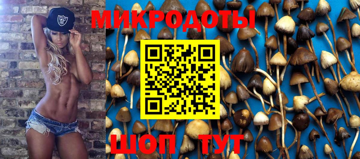 Псилоцибиновые грибы мухоморы Кузнецк