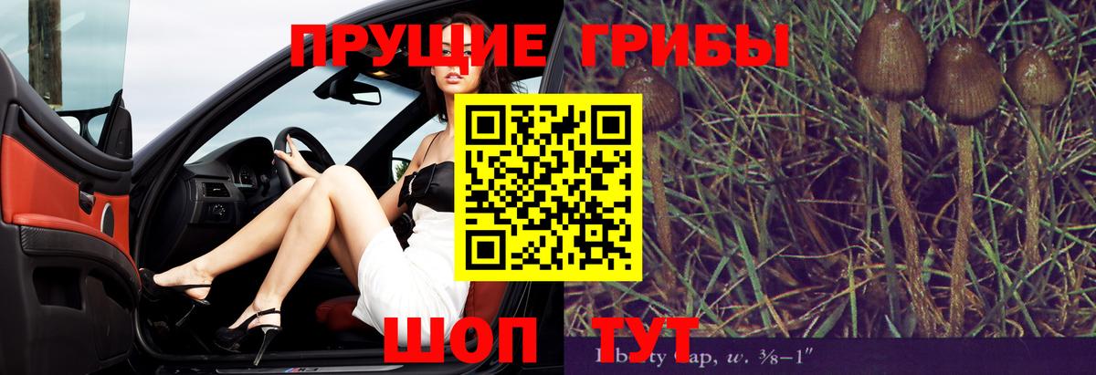 Псилоцибиновые грибы MAGIC MUSHROOMS  Вход с VPN  Кузнецк 